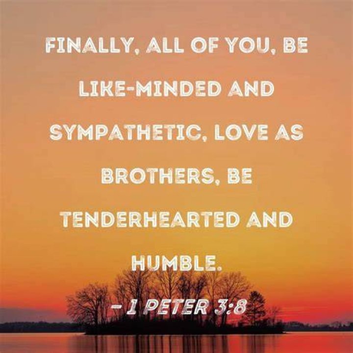 1 Peter 38 Finally, all of you, be likeminded and sympathetic, love