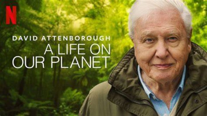 3454. Film Review David Attenborough A Life on Our
