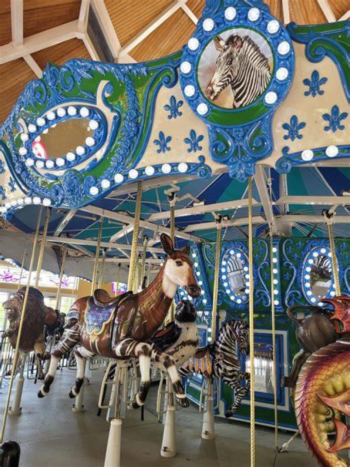 Carousel at Turtle Back Zoo YouTube
