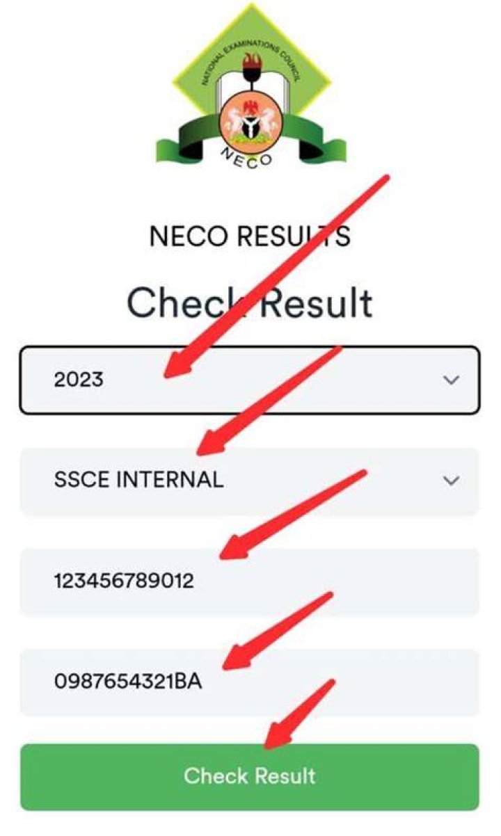 Check 2023 NECO result online easily TechCabal