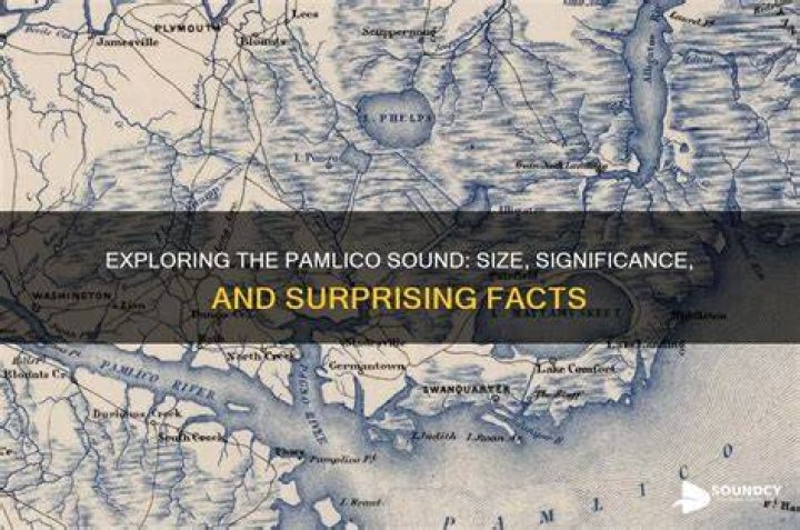 Exploring Significance And Surprising Facts