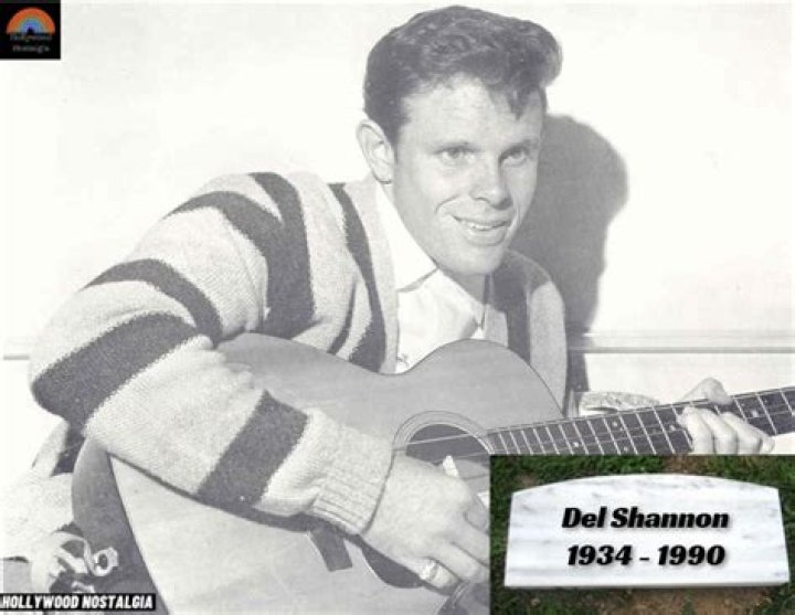 February 8, 1990 Del Shannon&rsquo;s Death at 55 Best Classic Bands