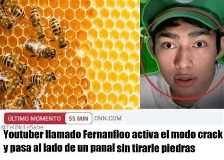 FeliNoLeSabe Youtuber llamado Fernanfloo activa el modo crack y pasa