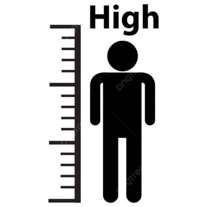 How Tall Is The Icon?