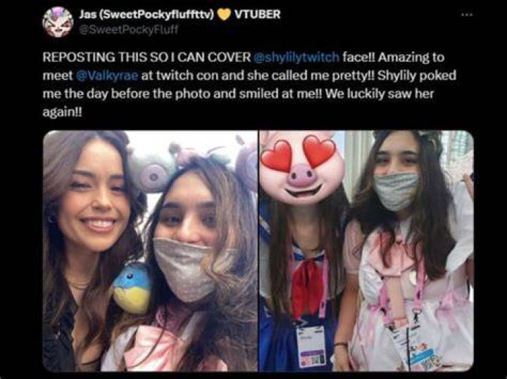Shylily Face Reveal On Twitchcon Nationality And Age