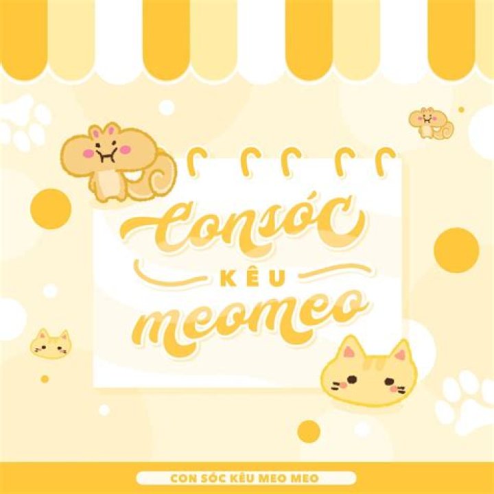 soc feb 2020