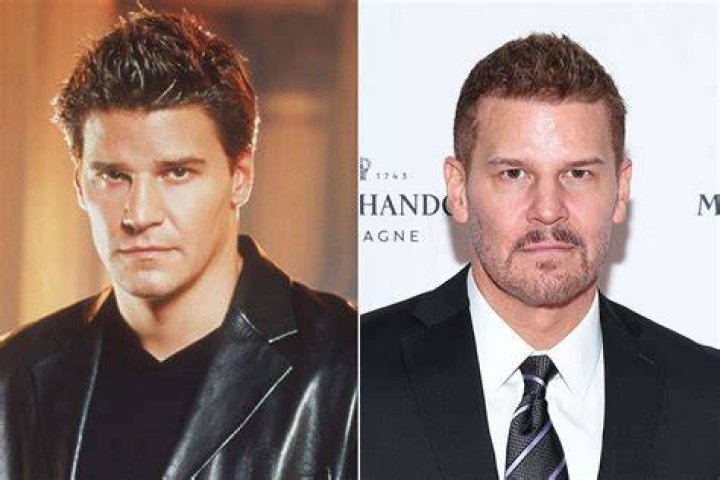 Uncover The Secrets Of David Boreanaz's Enduring Hollywood Marriage