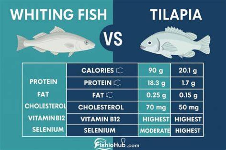 Unlock The Secrets Of Whiting Fish Vs Tilapia: Surprising Discoveries