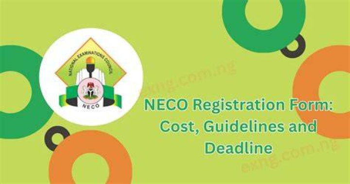 Unraveling The Cost Of NECO Registration In Nigeria For 2024