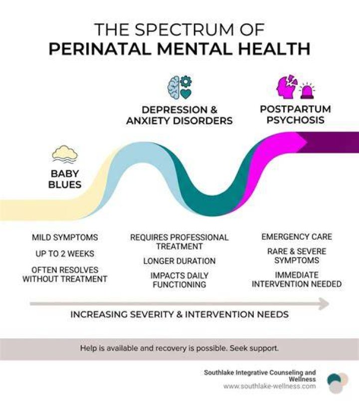 Unveiling Sabine Glenn: Pioneering Perinatal Mental Health
