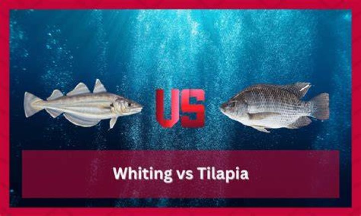 Unveiling The Secrets Of Whiting Vs Tilapia: Discoveries And Insights